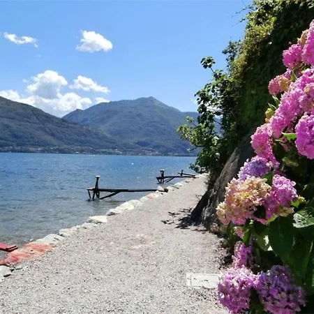 Nido Riva - Falco *